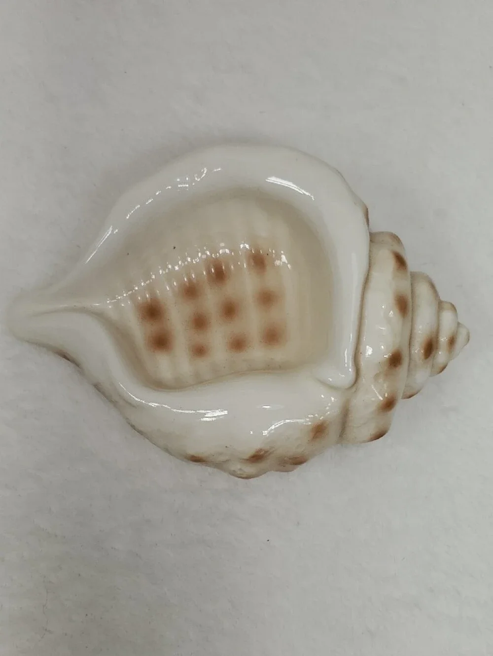 Seashell Bathroom Tumbler & Soap Dish Bath Accessories